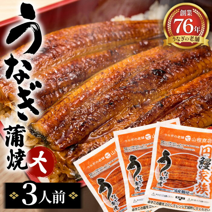 【ふるさと納税】 うなぎ蒲焼（大）　3人前 ／ 鰻 ウナギ タレ 老舗 送料無料 宮城県 No.104