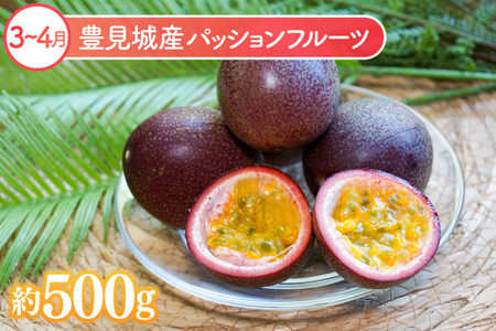 厳選！沖縄フルーツ定期便（年6回）