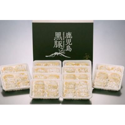 ふるさと納税 鹿屋市 鹿児島黒豚 餃子1.6kg(96個)　1289-1　 |  | 02