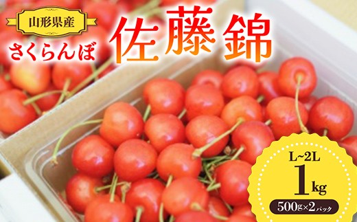 【先行予約 令和8年度発送】山形県産 さくらんぼ 佐藤錦 1kg（500g×2パック）秀品以上 L～2Lサイズ FSY-0692