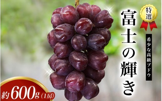 
                  ＜早い者勝ち！＞【先行予約】 特選 富士の輝き 約600g 1房 ※2026年9月頃発送予定 / ブラックシャイン ブラックシャインマスカット シャイン 富士の輝 葡萄 ブドウ 田辺市 和歌山県【kkb006-1】
                