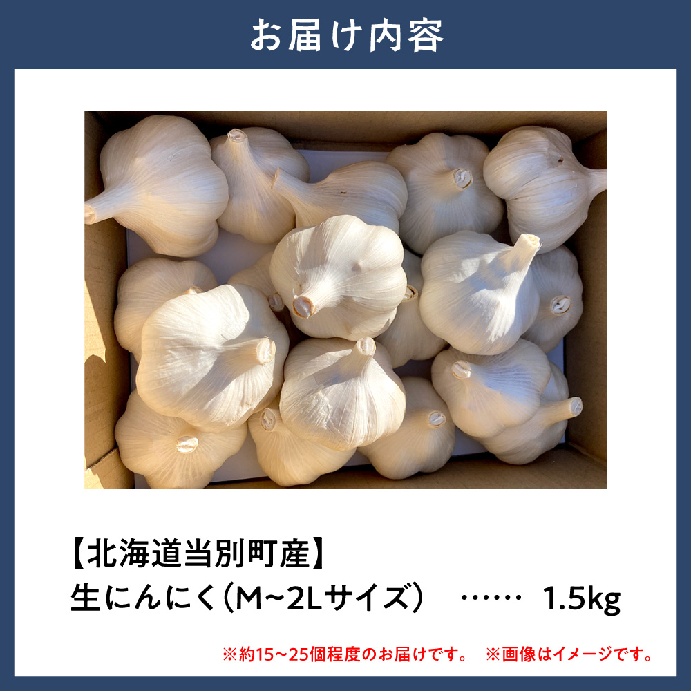 【令和8年発送先行受付】生にんにく（福地ホワイト六片種）1.5kg　《2026年6月下旬頃出荷予定》　にんにく　野菜　北海道　当別町