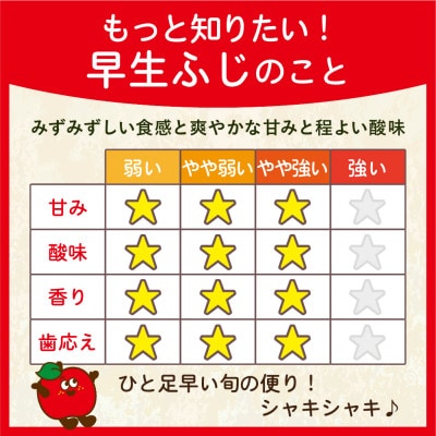 【26年10月から順次発送】平均糖度12度以上! 早生ふじ 約5kg 訳あり ひと足早いふじりんご【配送不可地域：離島・沖縄県】