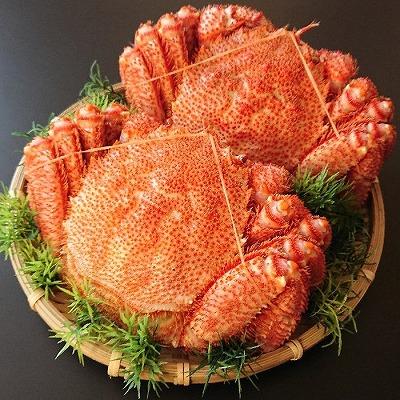 ふるさと納税 根室市 【北海道根室産】毛がに600g前後×2尾 F-21004