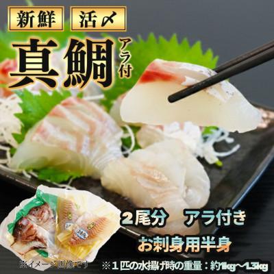 ふるさと納税 南伊勢町 伊勢志摩産 2尾 真鯛 半身 アラ付き(1匹1〜1.3kg)下処理済み 城水産の海鮮朝どれシリーズ
