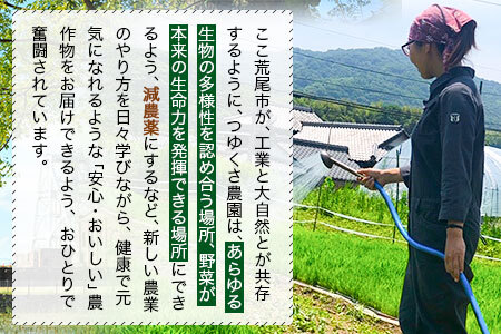 米 令和5年産 みなみにしき 無洗米 4kg 熊本県 荒尾市産 米 無洗米 つゆくさ農園 《30日以内に出荷予定(土日祝除く)》 米 こめ コメ 無洗米 米