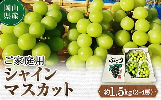 先行予約 2024年10月発送開始予定 岡山県産 ご家庭用 シャインマスカットTY0-0336