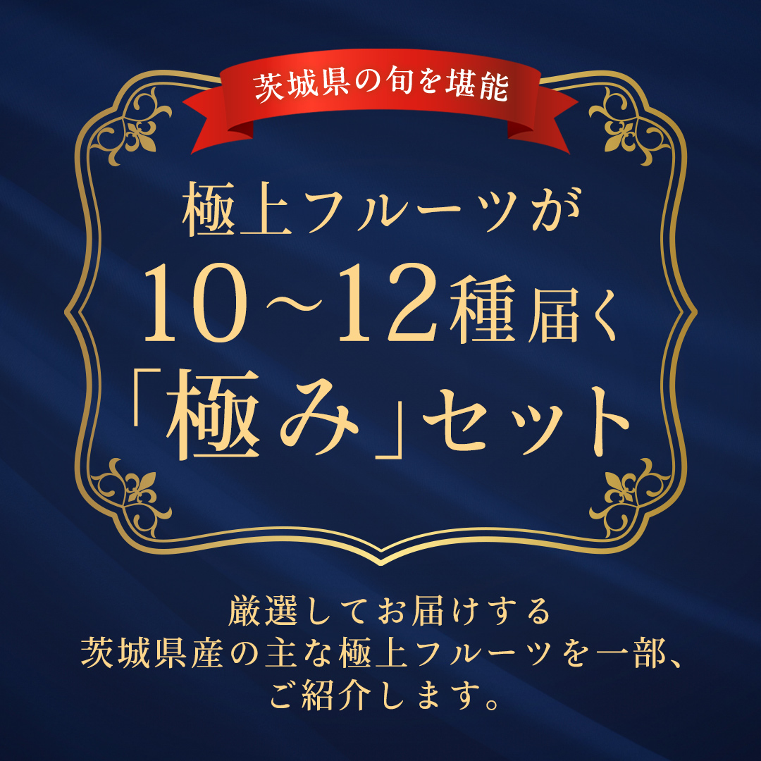 【特選・桐箱2段】極上フルーツ10～12種「極み」セット（茨城県共通返礼品） 田舎の頑固おやじが厳選！ 人気 厳選 果物 くだもの 旬 旬の果物 旬のフルーツ 上級品 極上 贅沢 極み フルーツ フル