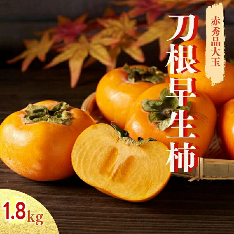 【ふるさと納税】 刀根早生 柿 種無し 約1.8kg ※離島への配送不可 ※2026年9月下旬～10月下旬頃に順次発送予定 / かき フルーツ 果物 くだもの 刀根 和歌山 //hokaf
