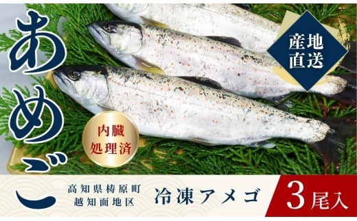 四万十川源流域の清流で育ったゆすはらアメゴ（３匹入り）　アメゴ アマゴ 四万十川 清流 手作業 急速冷凍 川魚 養殖 新鮮 塩焼き　ICT デジタル化