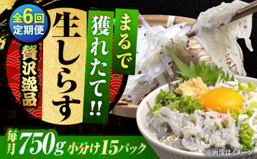 【全6回定期便】しらす 冷凍 生しらす 50g×15個 冷凍 しらす シラス 干し 釜揚げ 小分け 魚介類 鮮魚 ギフト 料理 レシピ シラス丼 しらす丼 海鮮丼 生 生産地 おつまみ ご飯のお供 グルメ やみつき 旬 国産 広島県産 リピート ギフト プレゼント 贈答 人気 高品質 好評 保存方法 江田島市/三島水産株式会社 [XCN015]
