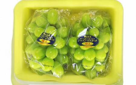 岡山県産 シャインマスカット 『晴王』 1房 （700g以上） 化粧箱入り 【2026年8月下旬～10月上旬迄発送予定】 果物 くだもの フルーツ ぶどう ブドウ 葡萄 マスカット 岡山 おかやま 国