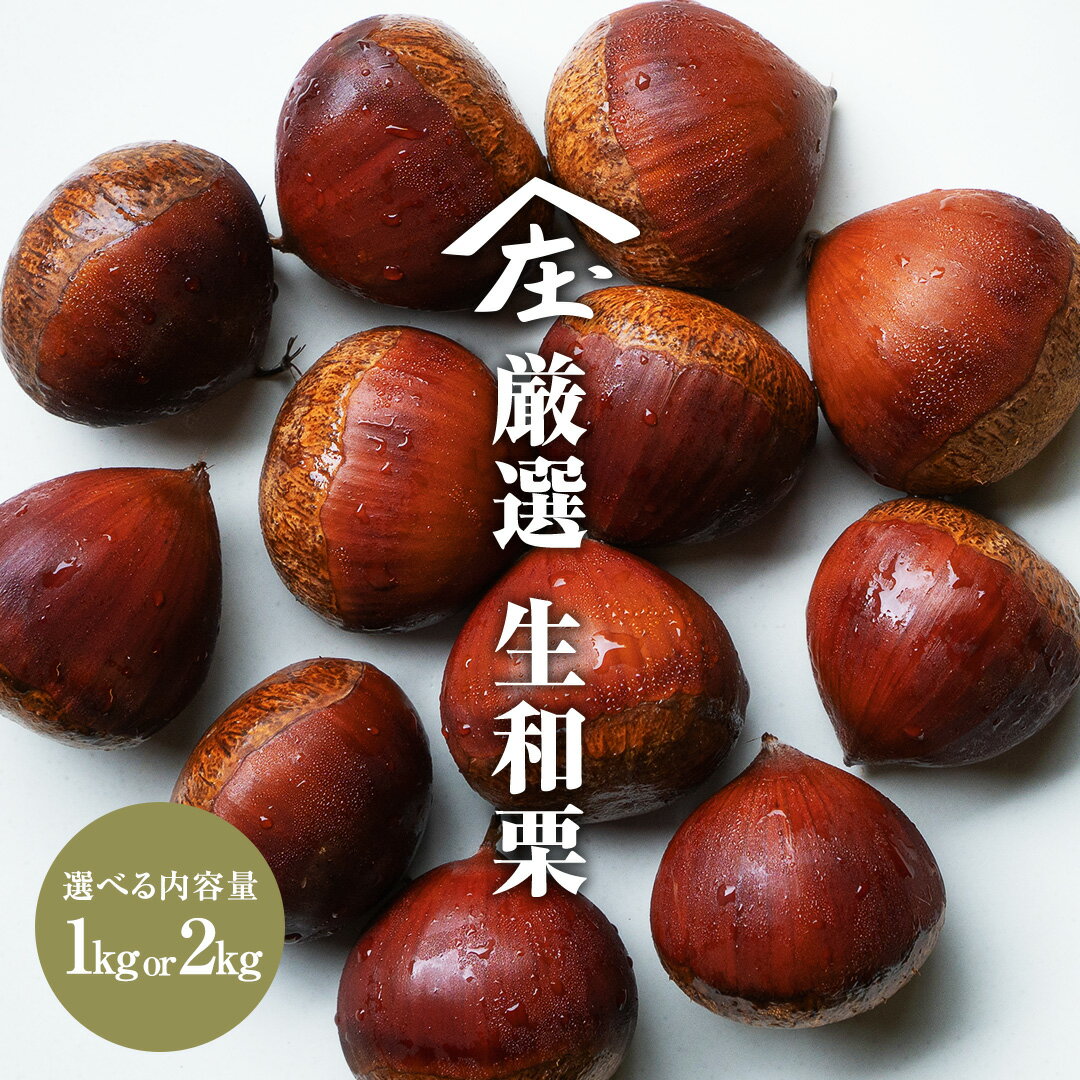 【ふるさと納税】＼選べる内容量／ 厳選 生和栗 1kg or 2kg【庄七農園】 栗 果樹 生栗 栗ご飯 渋皮煮 甘露煮 マロングラッセ フルーツ 茨城県 和栗