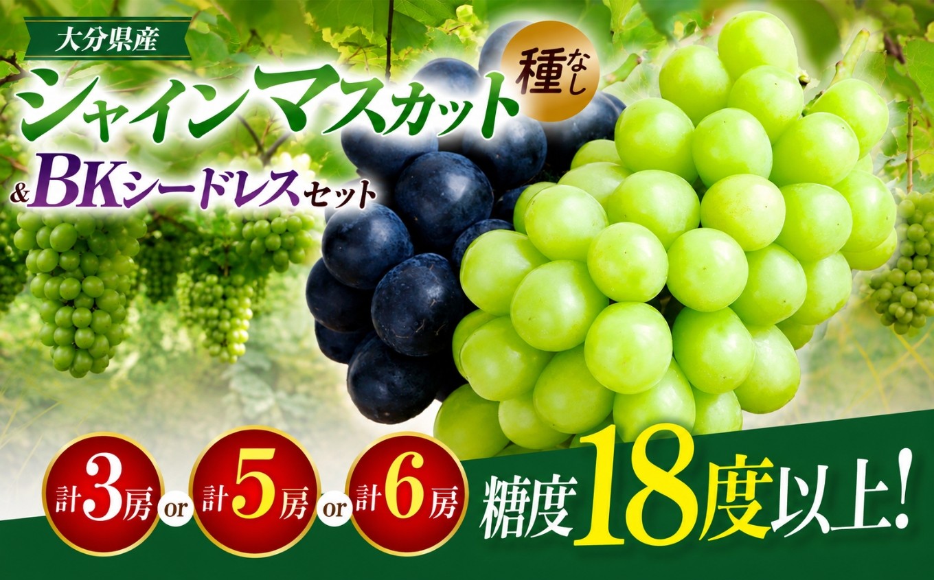 
                  【先行予約】選べる内容量！シャインマスカット＆BKシードレス ぶどう食べ比べセット（約1.8kg・約2.8kg・約4kg）| フルーツ 果物 くだもの ぶどう ブドウ 葡萄 シャインマスカット マスカット 巨峰 種無し 食べ比べ 産地直送 大分県 中津市
                
