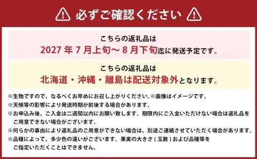 岡山白桃 ロイヤル 4～8玉 約1.2kg 岡山県産 【2027年7月上旬～8月下旬迄発送予定】 ／ 白桃 桃 もも 果物 果実 フルーツ 岡山県 美咲町 冷蔵