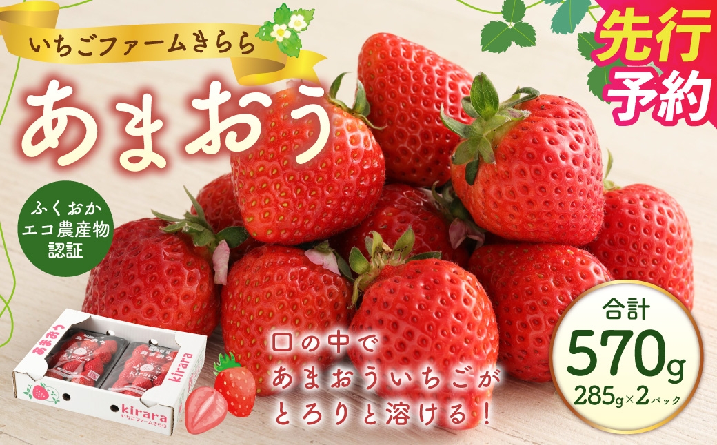 
                  あまおう 約570g 約285g×2パック いちごファームきらら いちご イチゴ 苺【ふくおかエコ農産物認証】【2027年2月上旬-3月下旬発送予定】
                