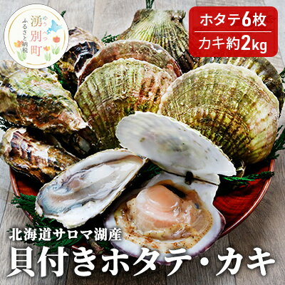 【ふるさと納税】【国内消費拡大求む】北海道サロマ湖産　貝付きホタテ6枚・カキ約2kg 魚貝類 生牡蠣 かき 帆立 ほたて セット 詰合せ 海鮮 　お届け：2025年11月～2025年1月中旬頃まで