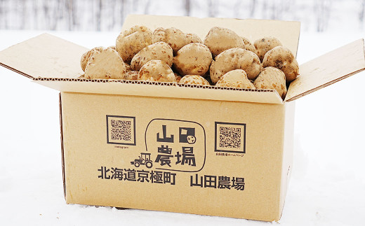 【訳あり】北海道産 じゃがいも 男爵 M～2Lサイズ混載 約10kg 1箱 山田農場 ジャガイモ 芋 いも イモ 訳アリ わけあり ワケアリ 国産 【2025年9月下旬-2026年3月上旬迄発送予定】