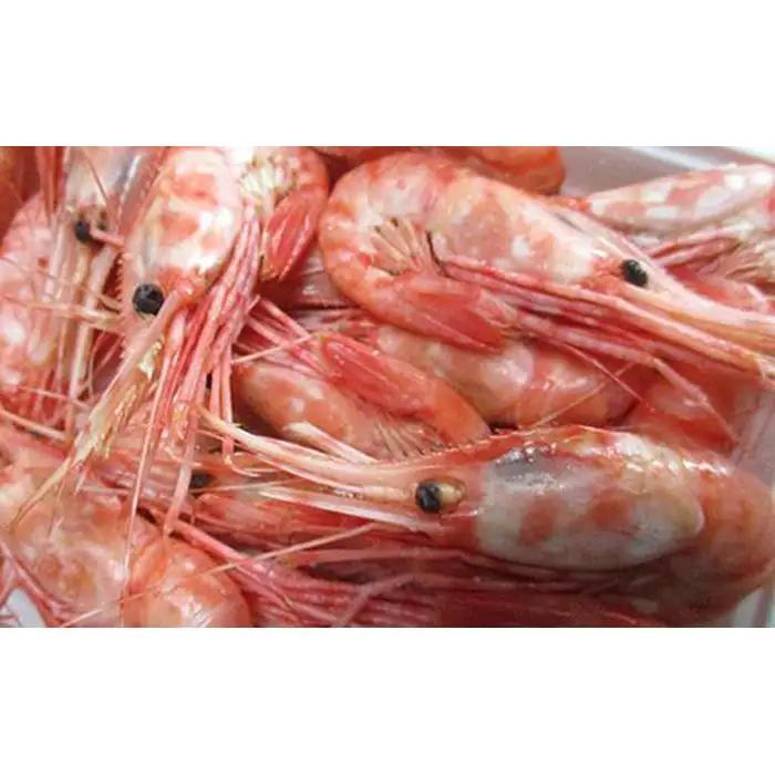 羅臼産　ぼたんえびボイル250g×2（塩ゆで）｜北海道　えび