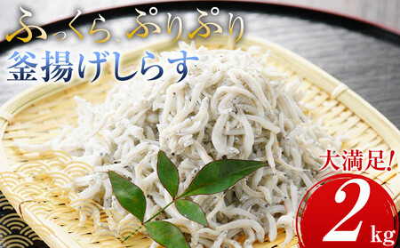 ＼注文数急上昇／釜揚げしらす 2kg しらす　