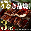 【ふるさと納税】鹿児島県産うなぎ蒲焼3尾セット（たれ・うなぎの佃煮・鰻骨煎餅付き）霧島山麓の地下水を使用！蒸さずに焼き上げた、鰻本来の味をお楽しみください【うなぎの尾方】