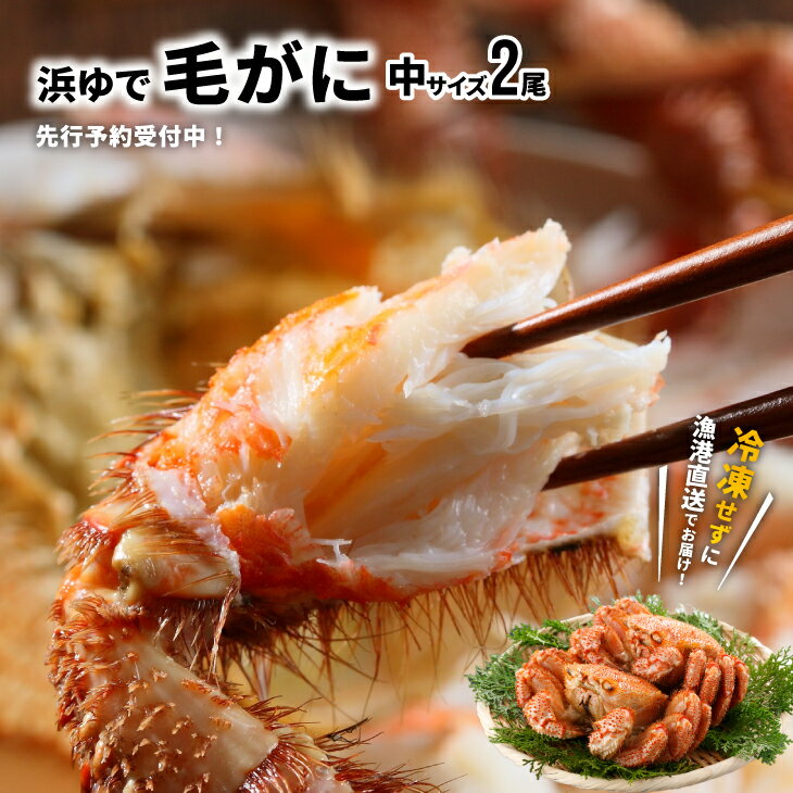 【ふるさと納税】【先行受付開始！】漁協の浜ゆで毛がに 中サイズ2尾セット※日付指定対応不可※[02-173]※離島・沖縄県発送不可※ 北海道 浦河 ふるさと納税 北海道産 北海道日高産 毛がに 浜ゆで 漁協直送 中サイズ 冷蔵発送 送料無料