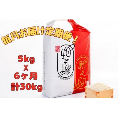 ふるさと納税 十日町市 【毎月定期便】魚沼産新之助精米5kg全6回
