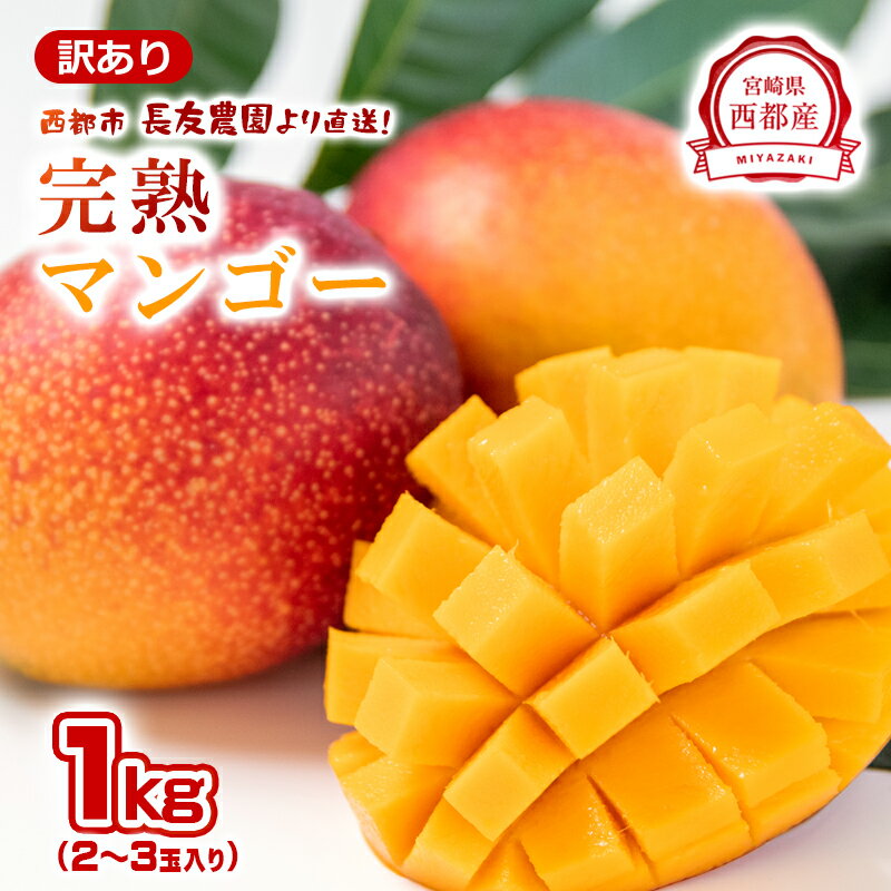 【ふるさと納税】長友農園 完熟マンゴー1kg「訳あり」2～3玉 宮崎県 西都産＜1.2-59＞【先行予約】令和7年収穫分 果物 フルーツ