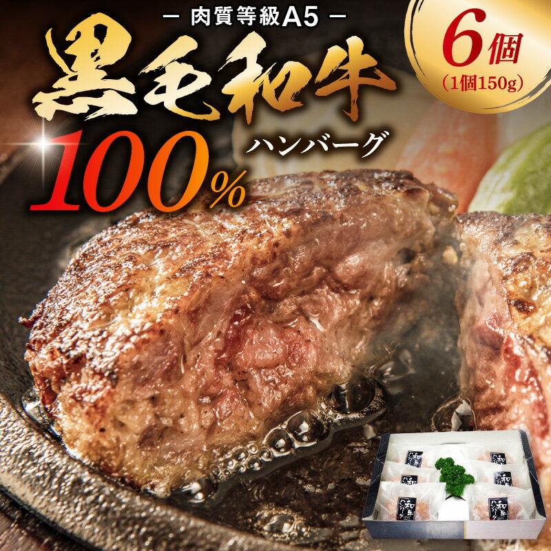 【ふるさと納税】黒毛和牛 100％ ハンバーグ 150g 6個 セット 牛肉 A5 等級 ミシュランビブグルマン獲得 産地直送 自社牧場 肉汁 おかず ご飯のお供 和牛 国産 冷凍 熊本県 天草市 田中畜産 お取り寄せ お取り寄せグルメ 送料無料