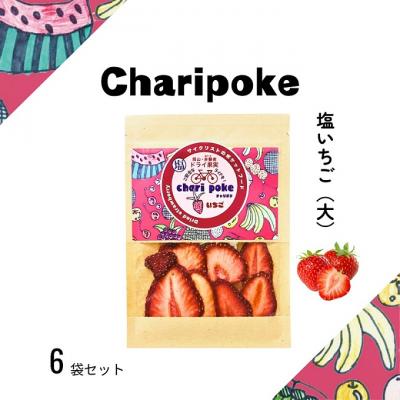 ふるさと納税 赤磐市 ドライフルーツ チャリポケ 塩 ドライ果実 いちご 大サイズ[NO5765-1099]