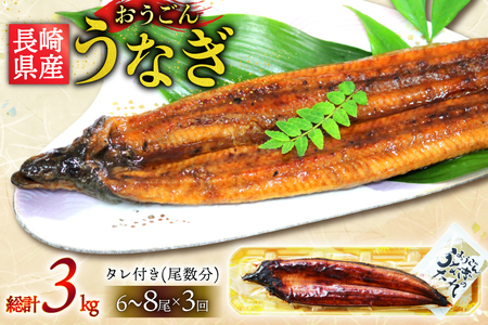 うなぎ 国産 蒲焼 長崎県産 おうごんうなぎ 松 セット 約1kg 6尾～8尾 3回 定期便 総計 約3kg