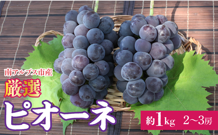 【2026年発送先行予約】厳選！南アルプス市産 ピオーネ 約1.0kg（２～3房） ALPDD017