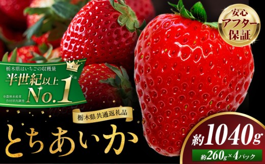 栃木 いちご とちあいか 4パック 1040g 《1月中旬-5月末頃出荷》 栃木県 野木町 いちご イチゴ 苺 とちあいか 果物 フルーツ ジューシー 【配送不可地域】沖縄・離島