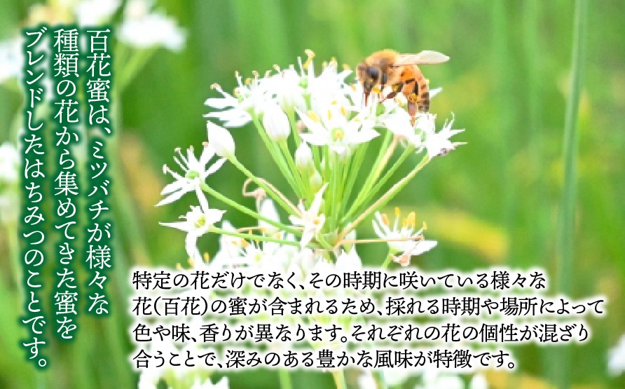 AG-1a 【国産】純粋蜂蜜1200g