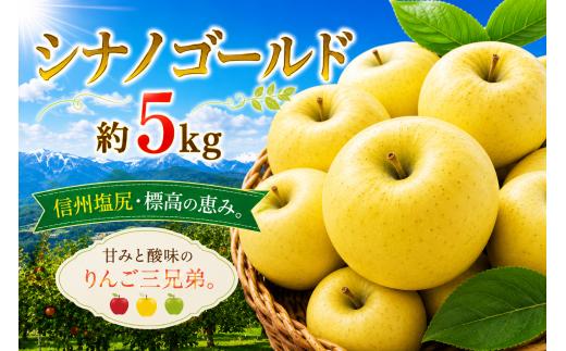 【2026年先行予約】信州塩尻産 シナノゴールド 約5kg | 先行受付 果物 くだもの フルーツ シナノゴールド りんご 林檎 りんご3兄弟 信州 長野県 塩尻市
