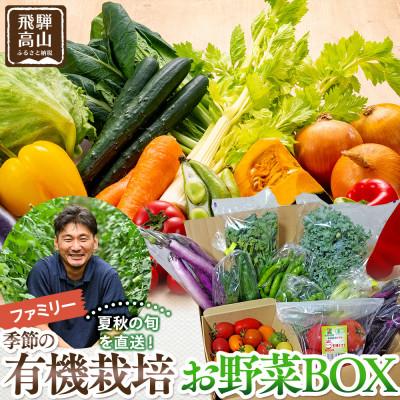 ふるさと納税 高山市 飛騨高山産 季節の有機栽培お野菜BOX(ファミリー)7〜9品 JC022