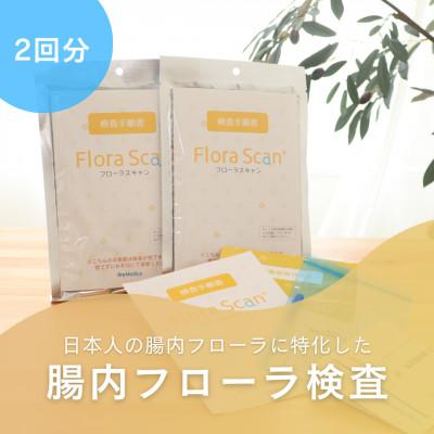 ふるさと納税 枚方市 【2回受検セット】  腸内フローラ 検査 サービス 「Flora Scan(R)」