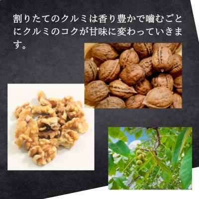 ふるさと納税 長野市 【信州長野県産】※2025年先行受付※　くるみ(殻付き)1kg　10月下旬より発送開始 |  | 01