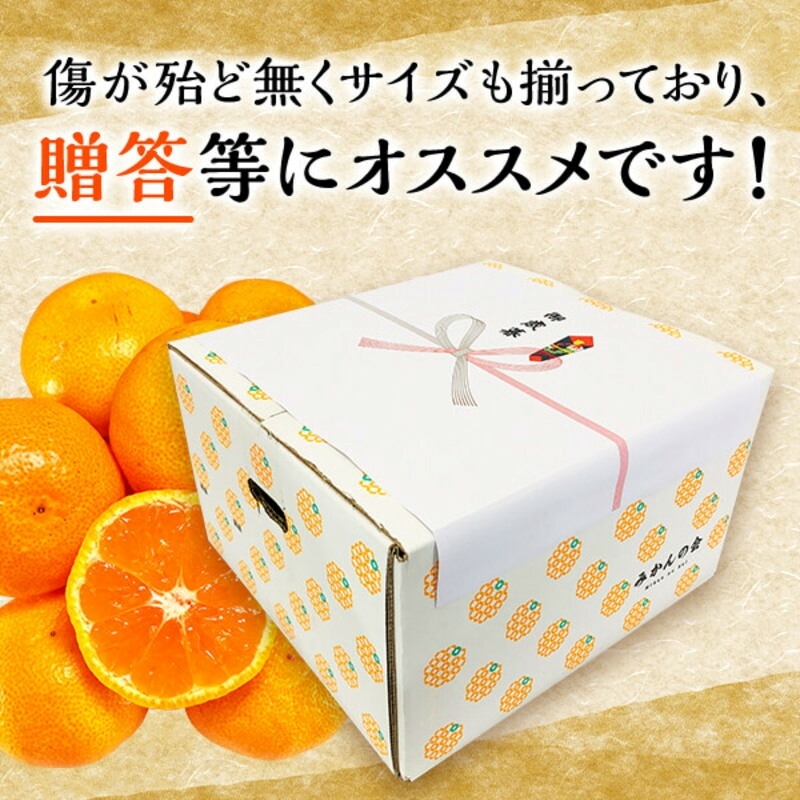 MK1044_【2025年先行予約】みかん Ｍサイズ 秀品 箱込 5kg ( 内容量 4.4kg ) 有田みかん 和歌山県産 産地直送 贈答用 【みかんの会】