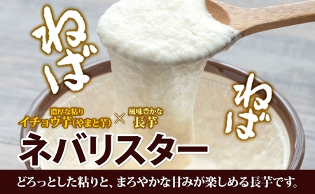 【 2026年 出荷 】 北海道 倶知安町産 ネバリスター 計5kg 北海道産 芋 ながいも 長芋 とろろ 新鮮 フレッシュ 野菜 農作物 産直 山芋 大和芋 イチョウ芋 麦とろ 山かけ おつまみ グ