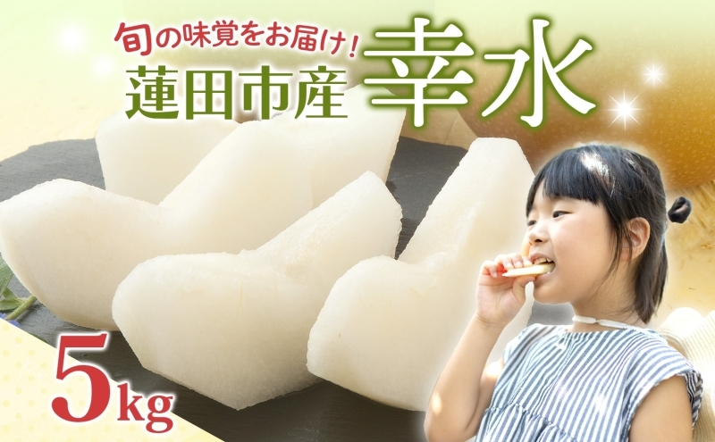 
                  蓮田市産 日本梨 幸水 5kg フルーツ 果物 ナシ なし 甘い みずみずしい シャリシャリ 食感 果汁 くだもの デザート おやつ お取り寄せ 産地直送 ギフト 贈答用 家庭用 埼玉県 蓮田市
                