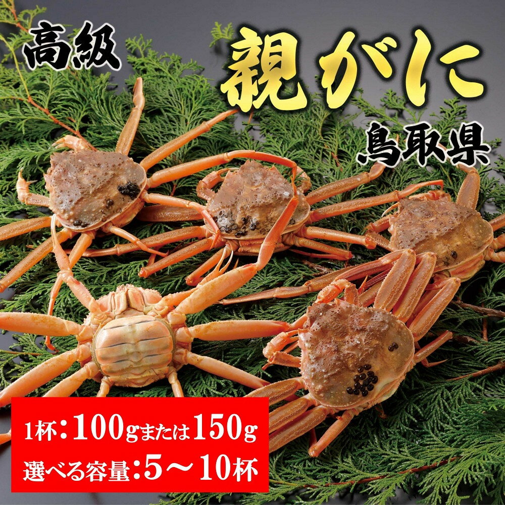 【ふるさと納税】内容量が選べる【2025年11月発送】鳥取県産 特撰 親がに 姿【セコガニ】（なま）100gまたは150g　5～10杯 | 蟹 生 ナマ かに セコガニ 鳥取県産 北栄町 おすすめ 人気