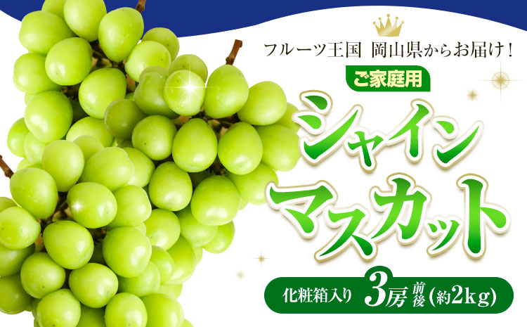 ご家庭用 フルーツ王国 岡山県産 シャインマスカット 化粧箱入り 3房 前後 Lino ＆ Kai Farm《2026年10月上旬-11月中旬頃出荷》マスカット 送料無料 岡山県 浅口市 シャインマス