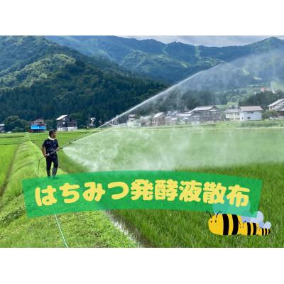 ふるさと納税 南魚沼市 新潟県南魚沼産(塩沢地区)はちみつ米コシヒカリ 5kg※蜂蜜発酵液肥料栽培 |  | 01
