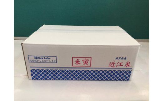 【新米】【7年産】近江米夢ごこち【5kg×2袋】【T035W1】