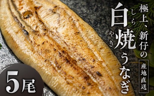 ≪先行予約！ 発送は7月28日以降≫ 極上 豊橋うなぎ 山義養魚の『うなぎ日和』白焼 希少 厳選 国産 新仔うなぎ 若うなぎ 鰻 簡易包装 ウナギ 鰻 ギフト 配布 最高級 土用丑の日 ギフト 冷凍 お取り寄せ 送料無料 日本酒と わさび 山椒 塩 大人 贅沢