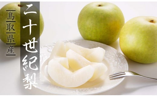 二十世紀梨(特選) 3kg