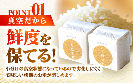 【300g×6個】福井県産 いちほまれ 300g×6個 2合 真空パック 小分け  / 白米 国産米 福井県 ブランド米 保存しやすい 小浜市 / シマダ農園 [BFAV011]
