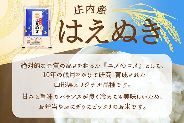 ＜4月中旬発送＞庄内米6か月定期便！はえぬき無洗米 5kg（入金期限：2025.3.25）