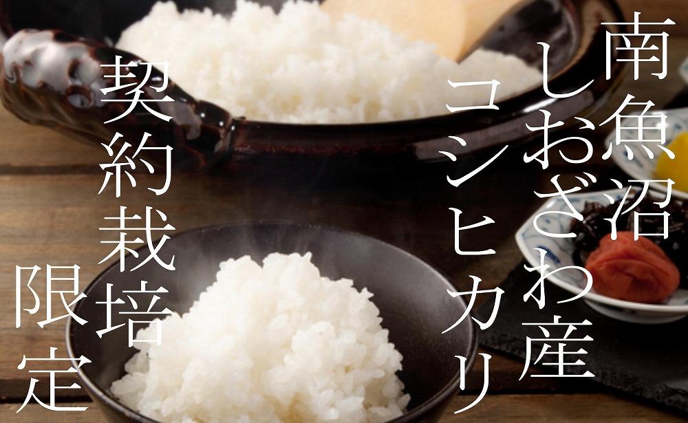 【令和8年産　新米予約】【定期便20Kg×３ヶ月】契約栽培限定 南魚沼しおざわ産コシヒカリ【定期便 銘柄米 ブランド米 精米 こしひかり コシヒカリ 魚沼産 新潟米 産地直送】【2026年10月上旬から1ヶ月以内に順次発送予定】